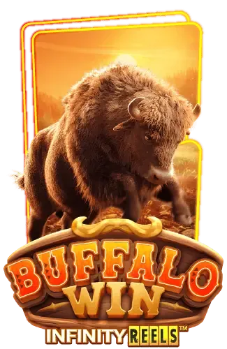 buffalo-win -24แท่งหวย